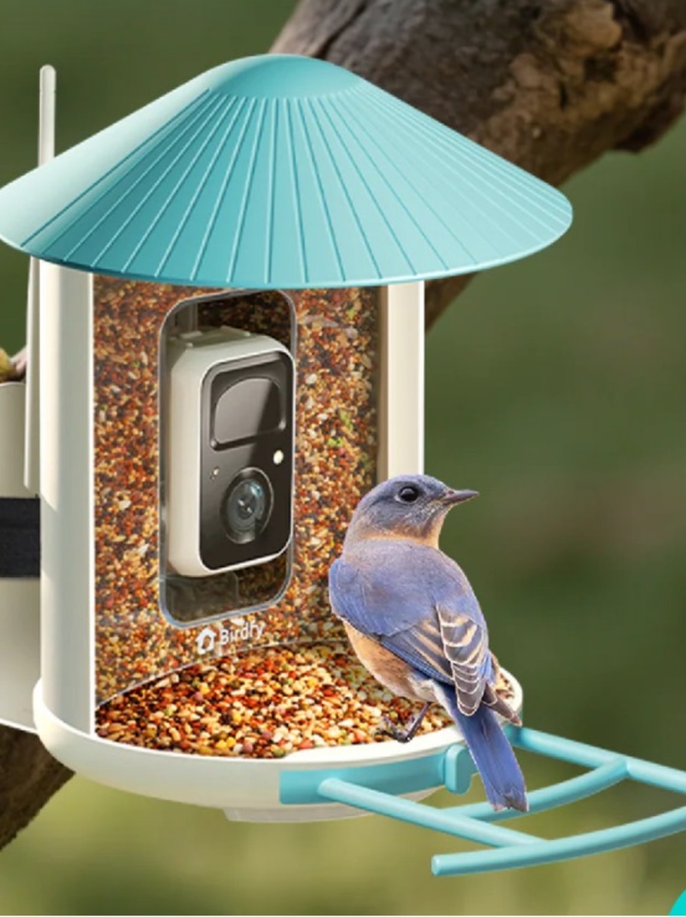 BIRDFY NWT  Feeder - Al-Powered Smart Bird Feeder with Camera